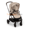 import placeholder for 24554