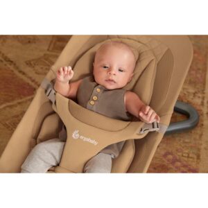 Ergobaby Hamaca Evolve 3 en 1