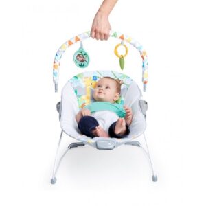 Hamaca Bright Starts Safari Fun