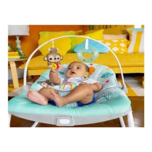 Hamaca Rocker ITTR Wild Vibes